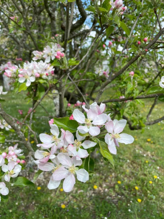 Chapdeuil La Croix Des Granges B&B 외부 사진